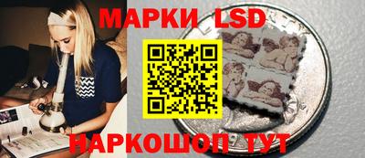 гашик Донской