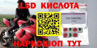 гашик Донской