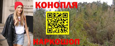 гашик Донской