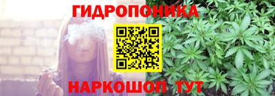 гашик Донской