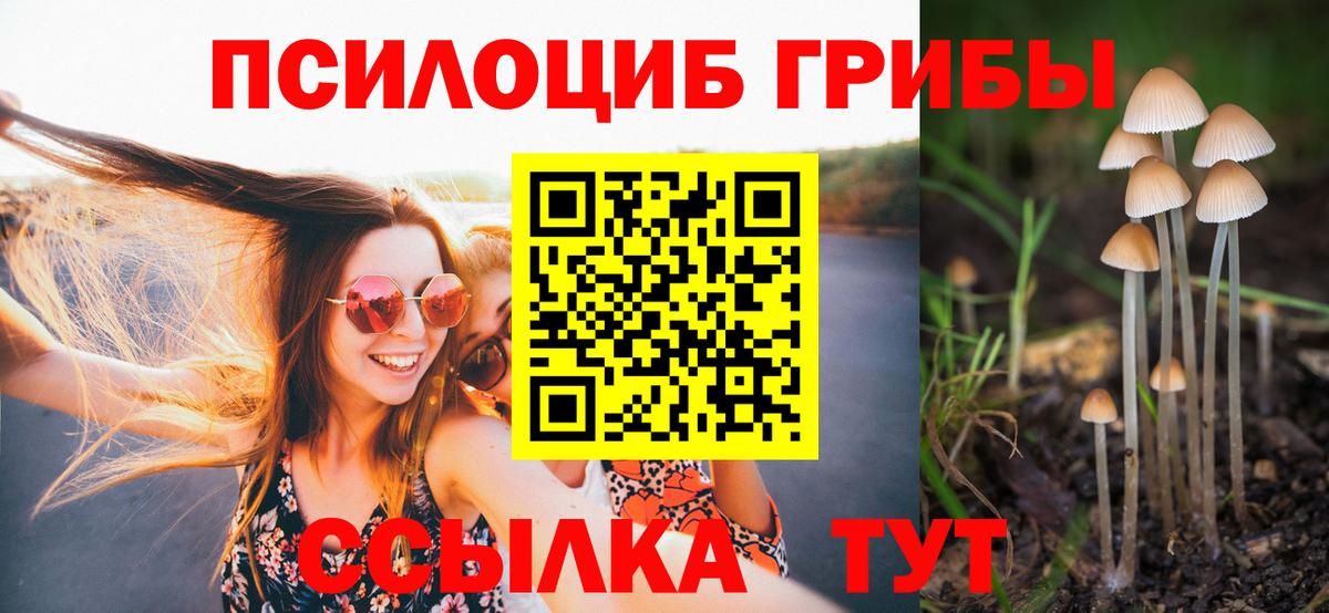 купить   Псилоцибиновые грибы мицелий  Вход с VPN  Кимовск 