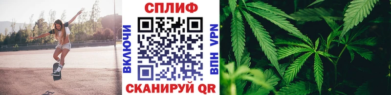 Бошки марихуана тримм  мега ссылки  Кимовск 